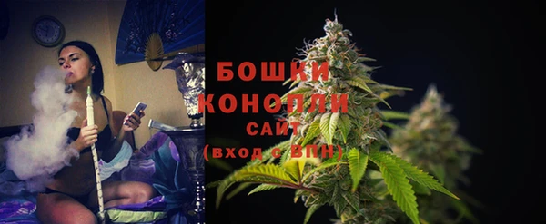 твердый Володарск